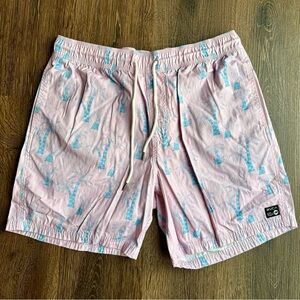 RVCA Light Pink and Teal Men's Board Shorts